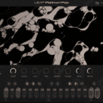 Leap Platinum Pop Livraria Kontakt atualizado e ativado