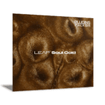 Livraria Native Instruments Leap Soul Gold para Kontakt Ativado e Atualizado