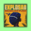 Sample Pack Funk Kit de Pontos WAV Explosao Brazilian Samples Packs